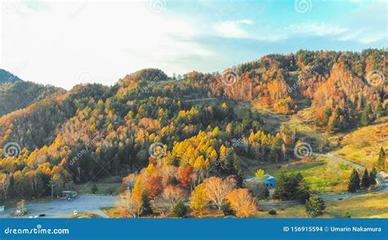 正規怎么找游戲推廣平臺合作加盟費用的市場調查與定價策略