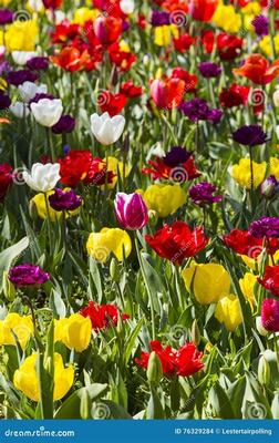 耒陽網(wǎng)頁游戲充值平臺(tái)代理代理國戰(zhàn)手游